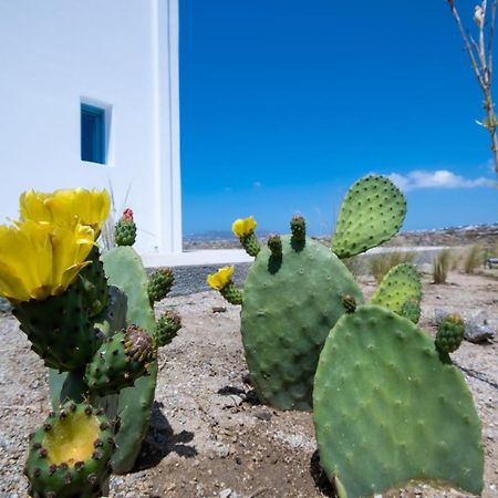 Lilly Villa By Bestofmikonos ออร์นอส ภายนอก รูปภาพ