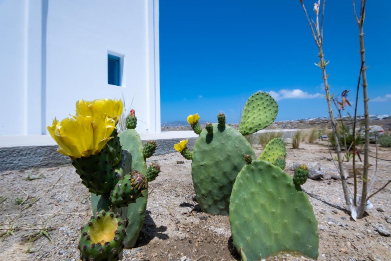 Lilly Villa By Bestofmikonos ออร์นอส ภายนอก รูปภาพ